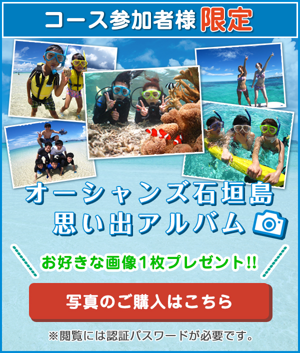 石垣島の体験ダイビングなら半日7 700円 のオーシャンズ石垣島 石垣島の体験ダイビングなら半日7 700円 のオーシャンズ石垣島