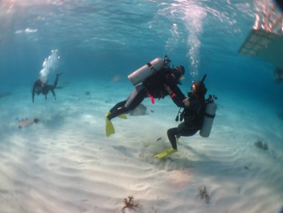 石垣島　海中写真1